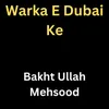 About Warka E Dubai Ke Song