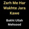 About Zarh Me Har Wakhte Jara Kawe Song