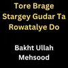 About Tore Brage Stargey Gudar Ta Rowatalye Do Song