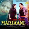About Tere Bina Marjaani Song