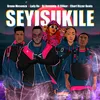 About Seyisukile Song