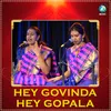 About Hey Govinda Hey Gopala Song