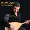 About Sevgi boşmuş Song