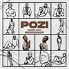 About Pozi Song