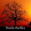 Noche Pacífica