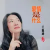 About 爱情是什么 Song