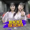 About Mencinta Tak Dicinta Song