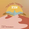 About ציפור מדבר Song