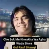 Che Suk Me Khwakha Wa Agha Wada Shwa