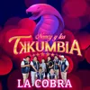About La Cobra Song
