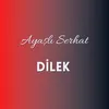 About Dilek Song