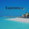 Experiencia