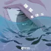 About 珊妮不快乐 Song