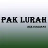 About Pak Lurah Song