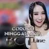 About Coromu Ninggal Aku Song