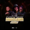 About Mngenandlini Song