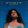 About אורות בעיר Song