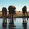 About The Herd Song