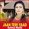 Jaan Teri Yaad