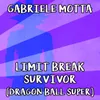 About Limit Break / Survivor From "Dragon Ball Super" Song