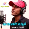 About NA KALOLOKI VACHAVE FOLK SONG Song