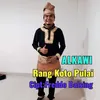 About Rang Koto Pulai Song