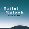 Saiful Malook