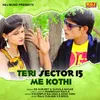 About Teri Sector 15 Me Kothi Song