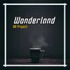 About Wonderland Remix Song