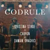 About Codrule Song