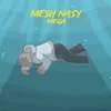 About Mesh Nasy Song