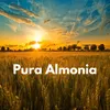 About Pura Almonia Song
