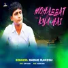 About Mohabbat Kya Hai Song