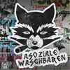 About Asoziale Waschbären Song