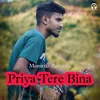 About Priya Tere Bina Song