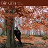 About Bir Gün Song