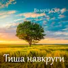 Тиша навкруги