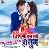 About Zindagi Ban Gaye Ho Tum From "Zindagi Ban Gaye Ho Tum" Song