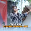 About Coromu Ninggal Aku Song