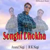 Songhi Dhokha