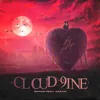 About CLOUD 9INE Song