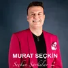 Özlediğim Şarkısın