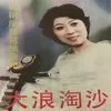 何树凤琵琶独奏曲（一）