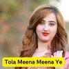Tola Meena Meena Ye