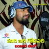 About HARI BARI GODAVARI SHOBHA BANJARA SONG Song