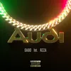 About Audi Song