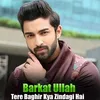 About Tere Baghir Kya Zindagi Hai Song