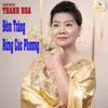 Đêm Trăng Rừng Cúc Phương