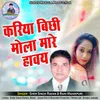 About Kariya Bichhi Mola Mare Havay Song