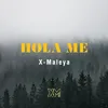 About Hola me Remix Song